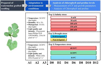 Monitoring of Salinity, Temperature, and Drought Stress in Grafted Watermelon Seedlings Using Chlorophyll Fluorescence